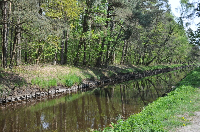 domki letniskowe Jarosławiec