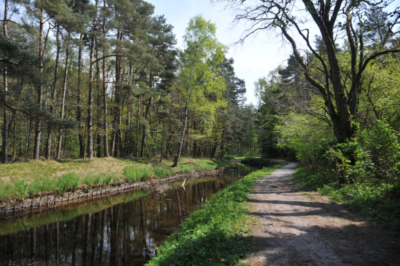 domki letniskowe Jarosławiec